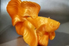 87414563_2945716568825414_63575196277893195_n_17901063676427974