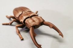 92936068_3214997775199832_3170764664367913932_n_17862370492784406