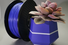 95349086_227253265378832_4529956672754075547_n_17856545473913096