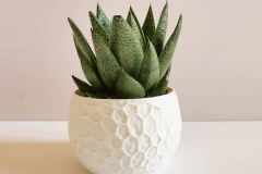 3D printed with Kingroon Kp3s. Visit IG @Namu3D for more info  about 3D printer settings and STL files.