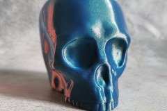 IMG_20210419_175747_085-1