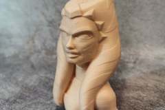 IMG_20210420_142719_781