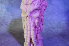 IMG_20210420_142900_295